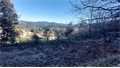 Photo numero 45760911 du bien UBI454056452